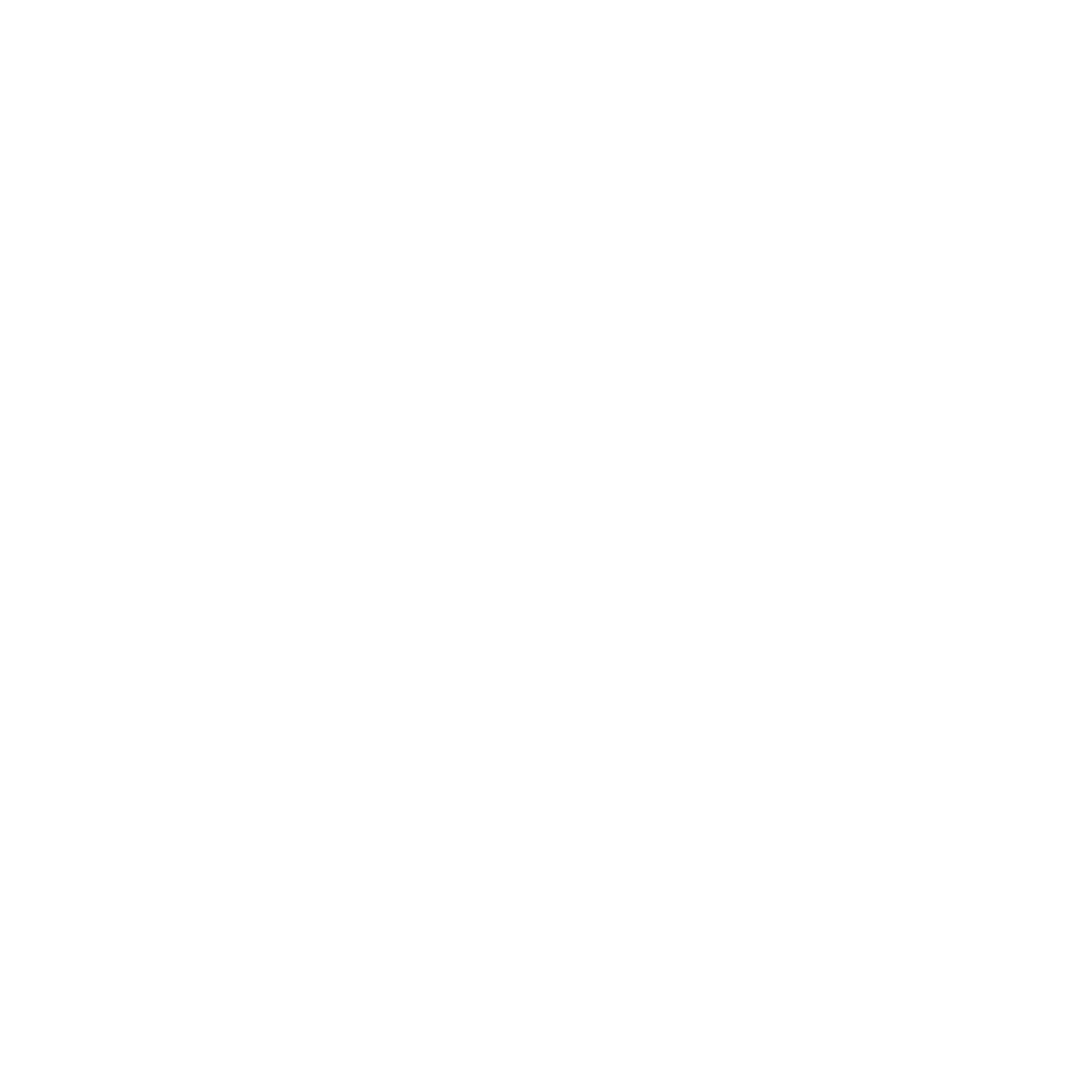 website logo transparent